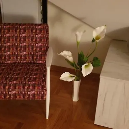 Apartment Alsa Lux *